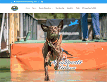 Tablet Screenshot of hudsonvalleydockdogs.com